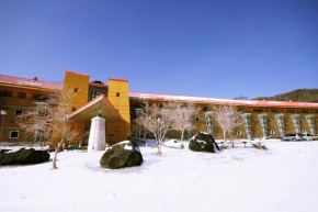 Chuzenji Kanaya Hotel, Nikko